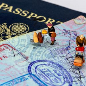 Work Permit Assistance – Standard